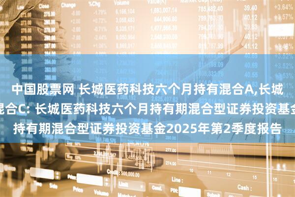 中国股票网 长城医药科技六个月持有混合A,长城医药科技六个月持有混合C: 长城医药科技六个月持有期混合型证券投资基金2025年第2季度报告