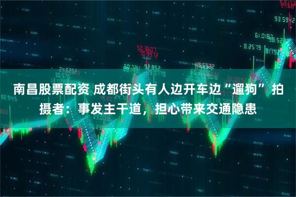南昌股票配资 成都街头有人边开车边“遛狗” 拍摄者：事发主干道，担心带来交通隐患